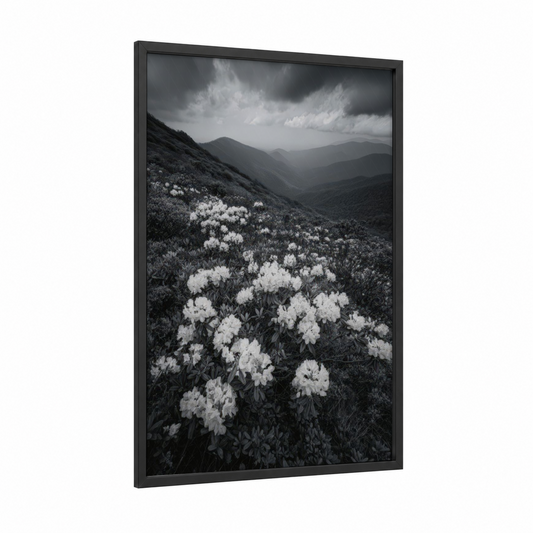 Rhododendron Ridge framed blue ridge mountains print — black wood frame — black and white and gray palette