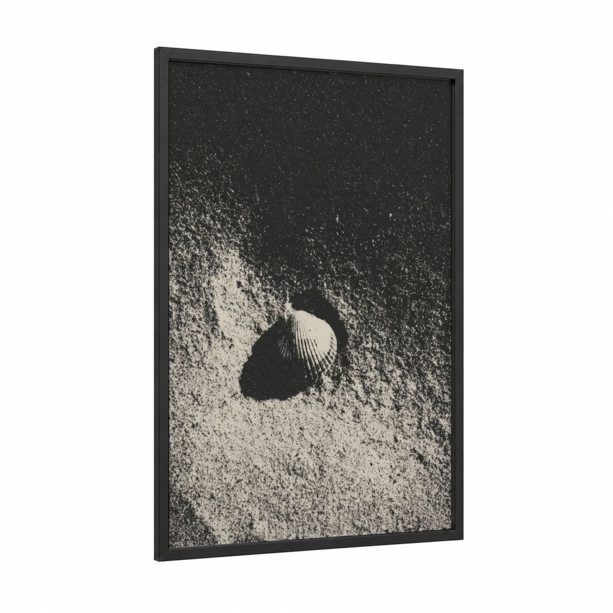 Sandy Seashell framed art print — black wood frame — black and white palette