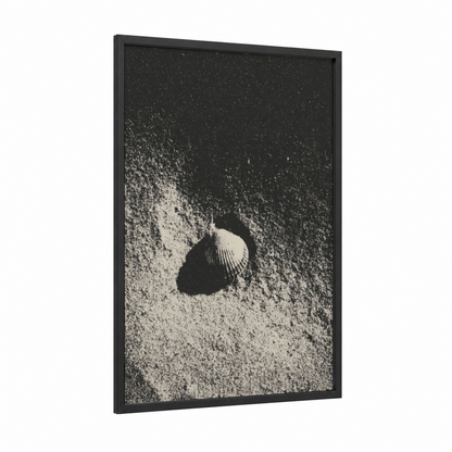 Sandy Seashell framed art print — black wood frame — black and white palette