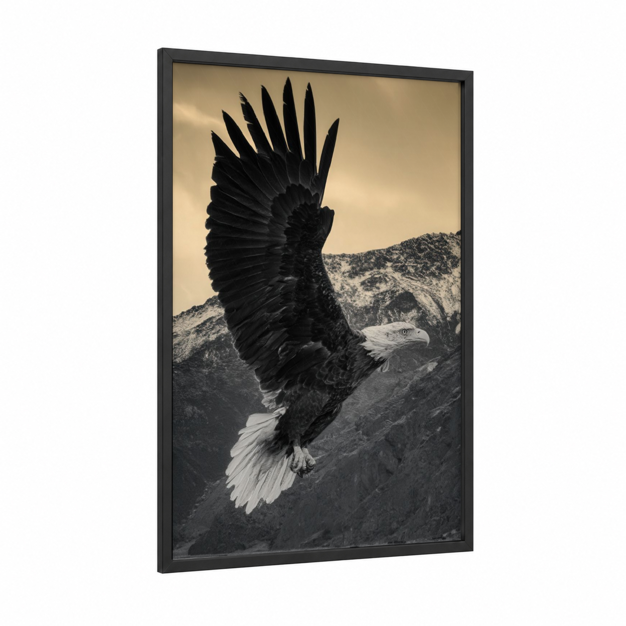 Soaring Eagle framed art print — black wood frame — black and white and gray palette