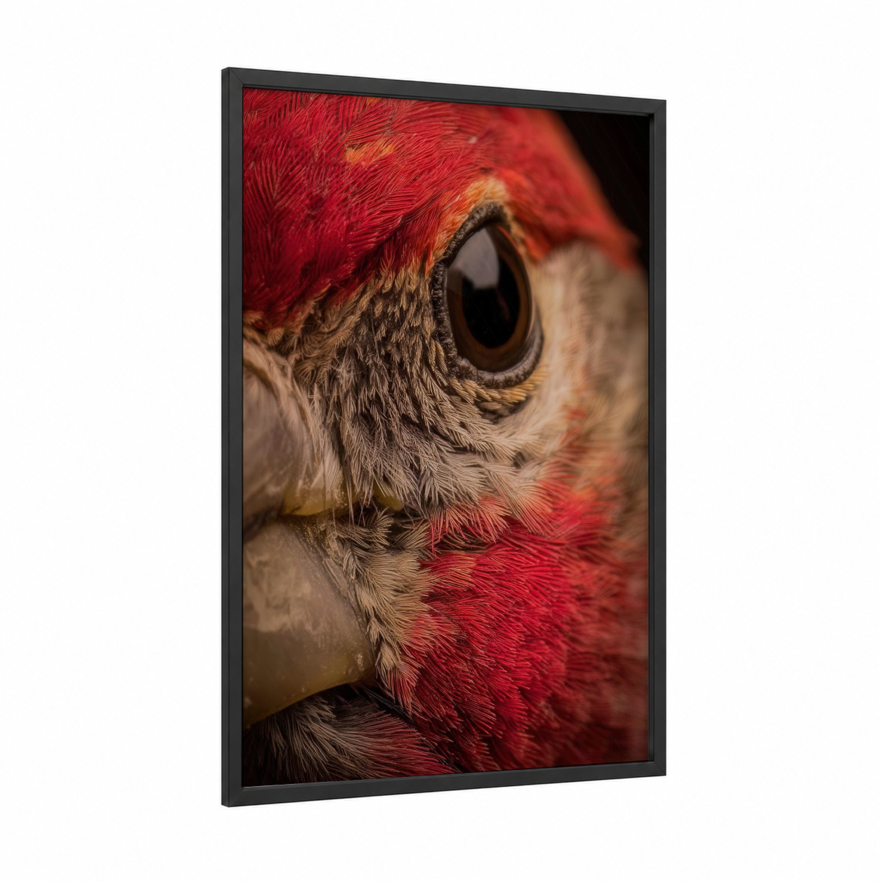Crimson Finch Portrait framed art print — black wood frame — red and gold palette