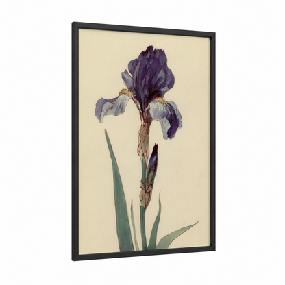 Purple Iris Study framed art print — black wood frame — purple and light green palette