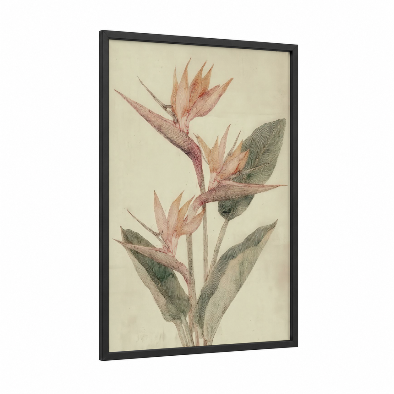 Delicate Bird Paradise framed birds of paradise print — black wood frame — cream and sage green palette