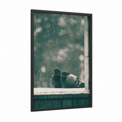 Snowy Pigeon Pair framed art print — black wood frame — teal and gray palette