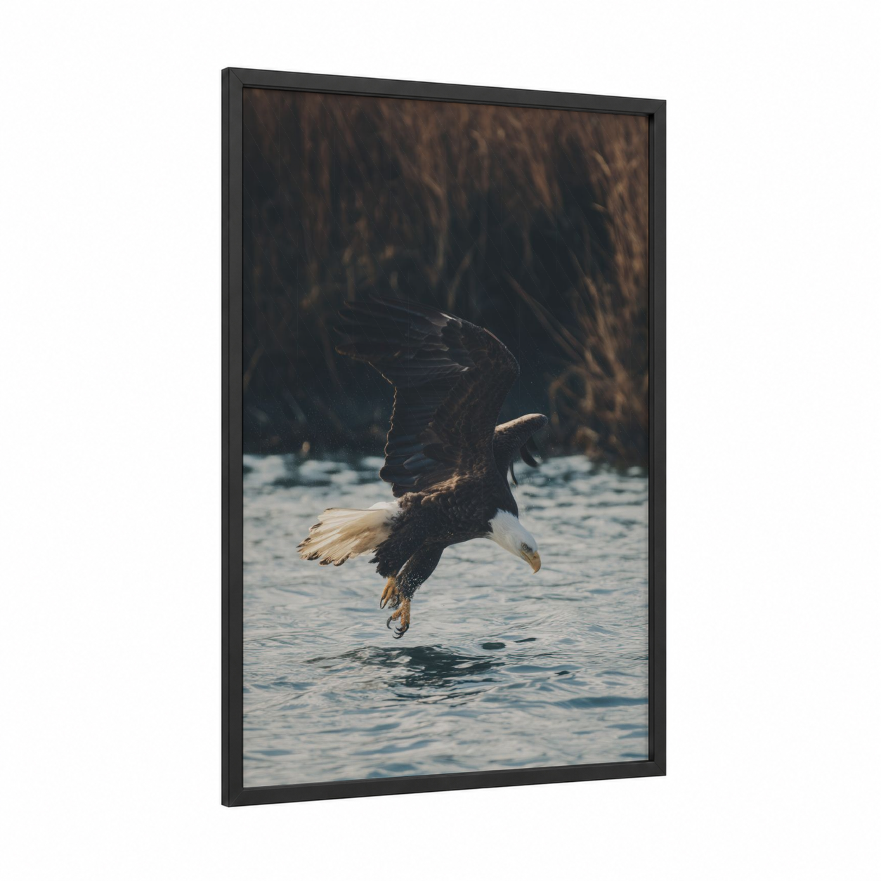 Hunting Eagle Dive framed art print — black wood frame — black and blue palette