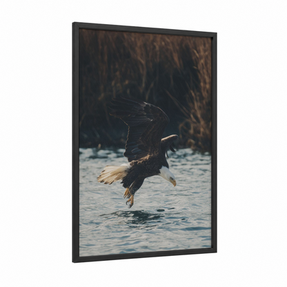 Hunting Eagle Dive framed art print — black wood frame — black and blue palette