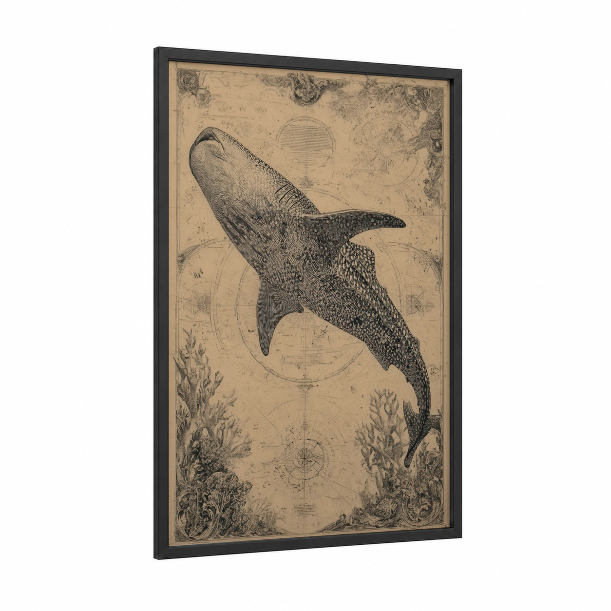 Antique Whale Shark framed art print — black wood frame — beige and black and white palette