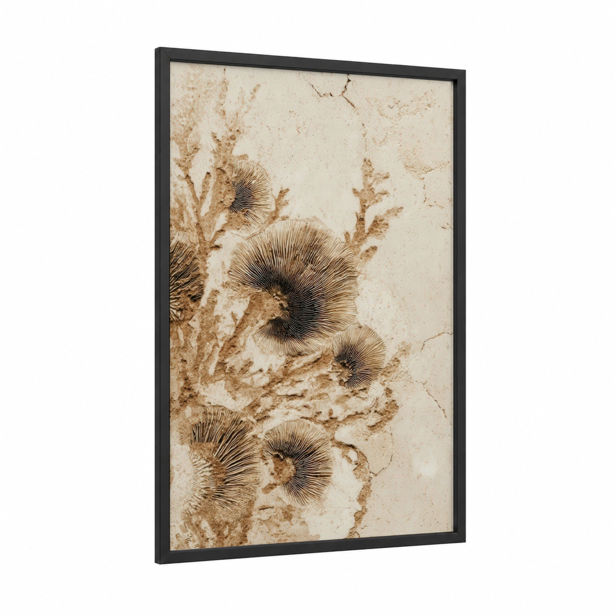 Fossil Imprints framed natural stones print — black wood frame — beige and cream palette