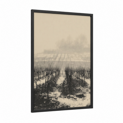 Frosted Vineyard framed vineyards print — black wood frame — black and white and gray palette