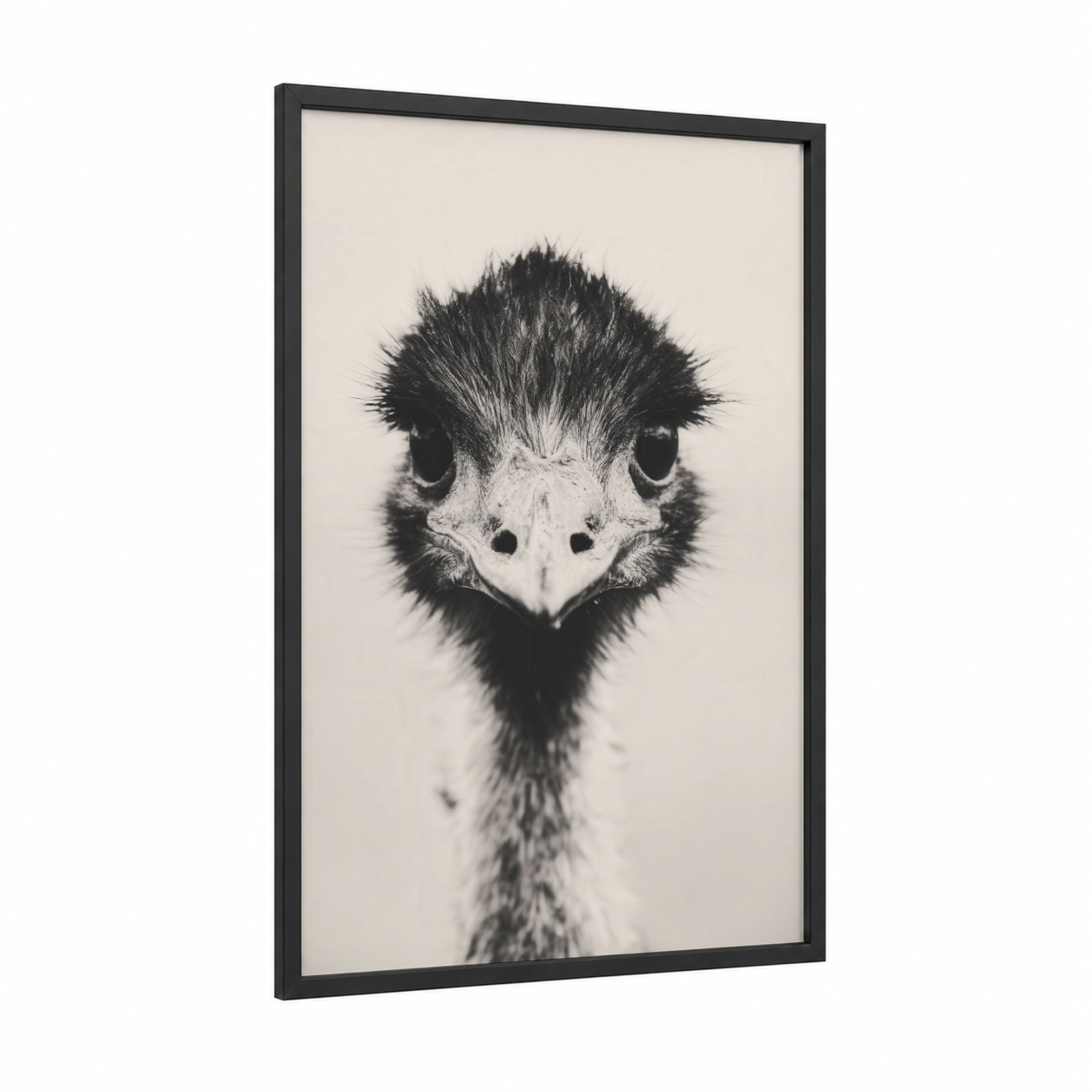 Curious Ostrich framed art print — black wood frame — black and white palette