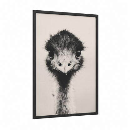 Curious Ostrich framed art print — black wood frame — black and white palette