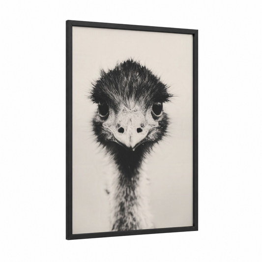 Curious Ostrich framed art print — black wood frame — black and white palette