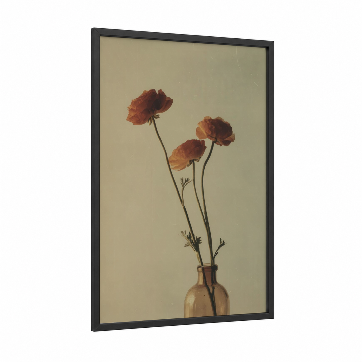 Russet Ranunculus framed art print — black wood frame — russet and beige palette