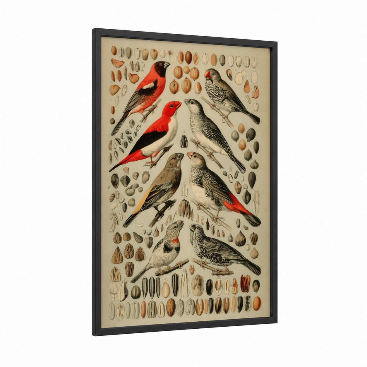 Scarlet Finch Study framed art print — black wood frame — red and beige palette
