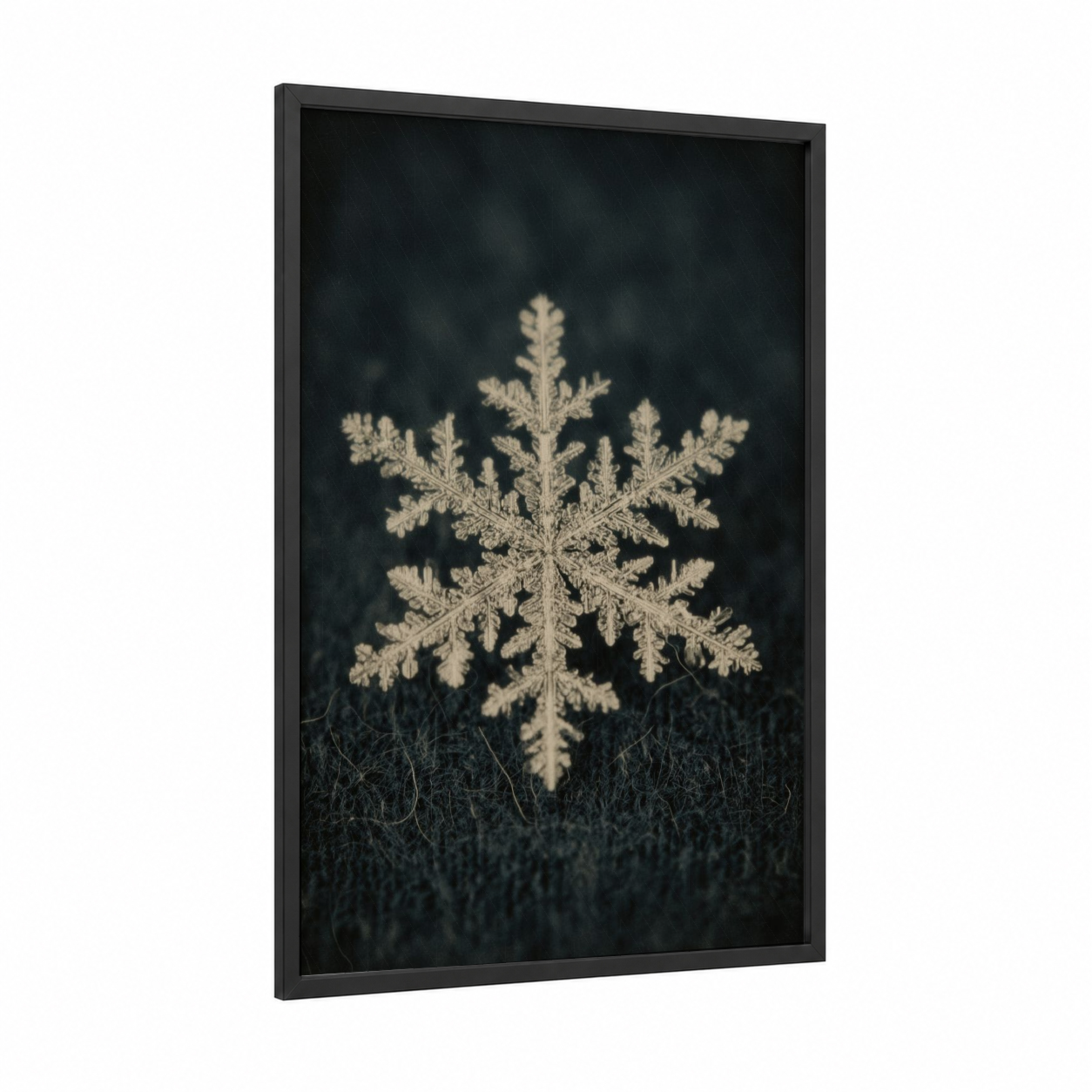 Frosted Snowflake framed winter print — black wood frame — black and white palette