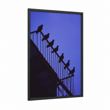 Urban Pigeon Perch framed art print — black wood frame — blue and black palette