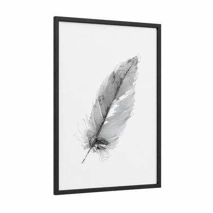 Delicate Feather framed seagull print — black wood frame — black and white palette