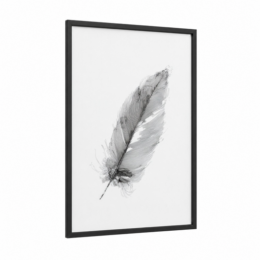 Delicate Feather framed seagull print — black wood frame — black and white palette
