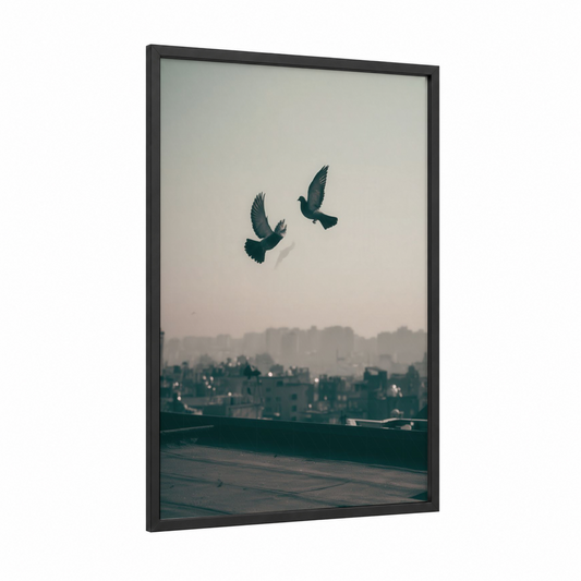 Urban Doves framed pigeon print — black wood frame — gray and teal palette