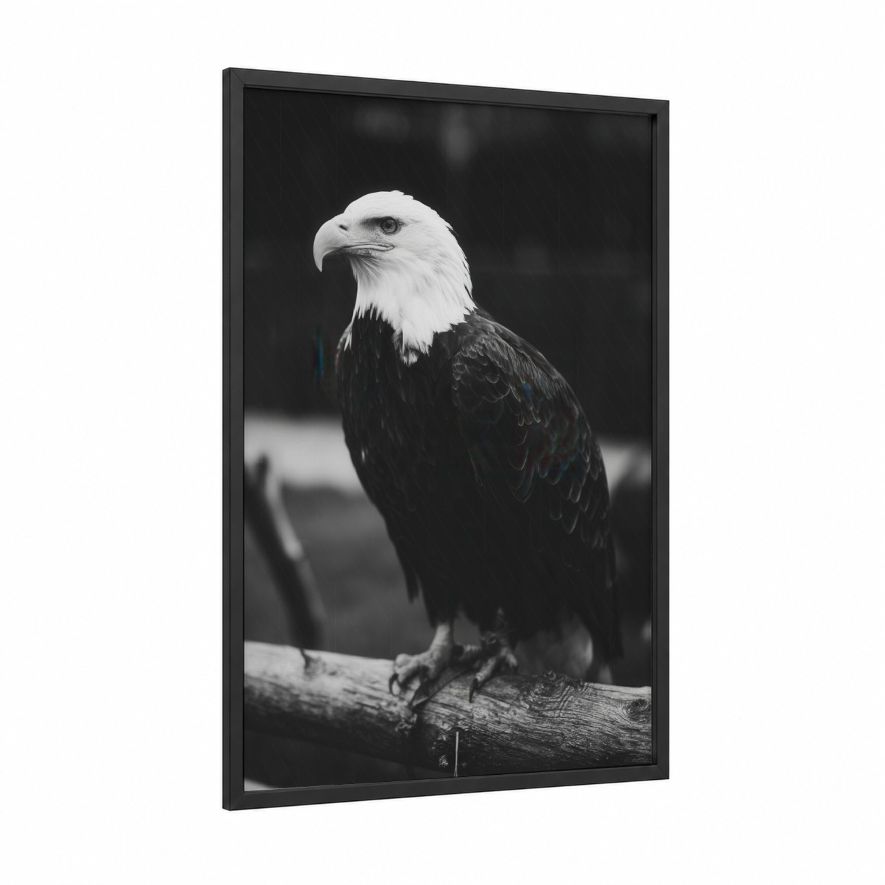 Majestic Eagle Profile framed art print — black wood frame — black and white palette