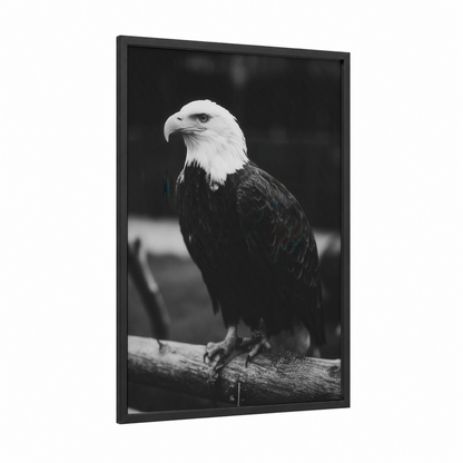 Majestic Eagle Profile framed art print — black wood frame — black and white palette