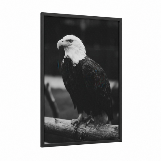 Majestic Eagle Profile framed art print — black wood frame — black and white palette