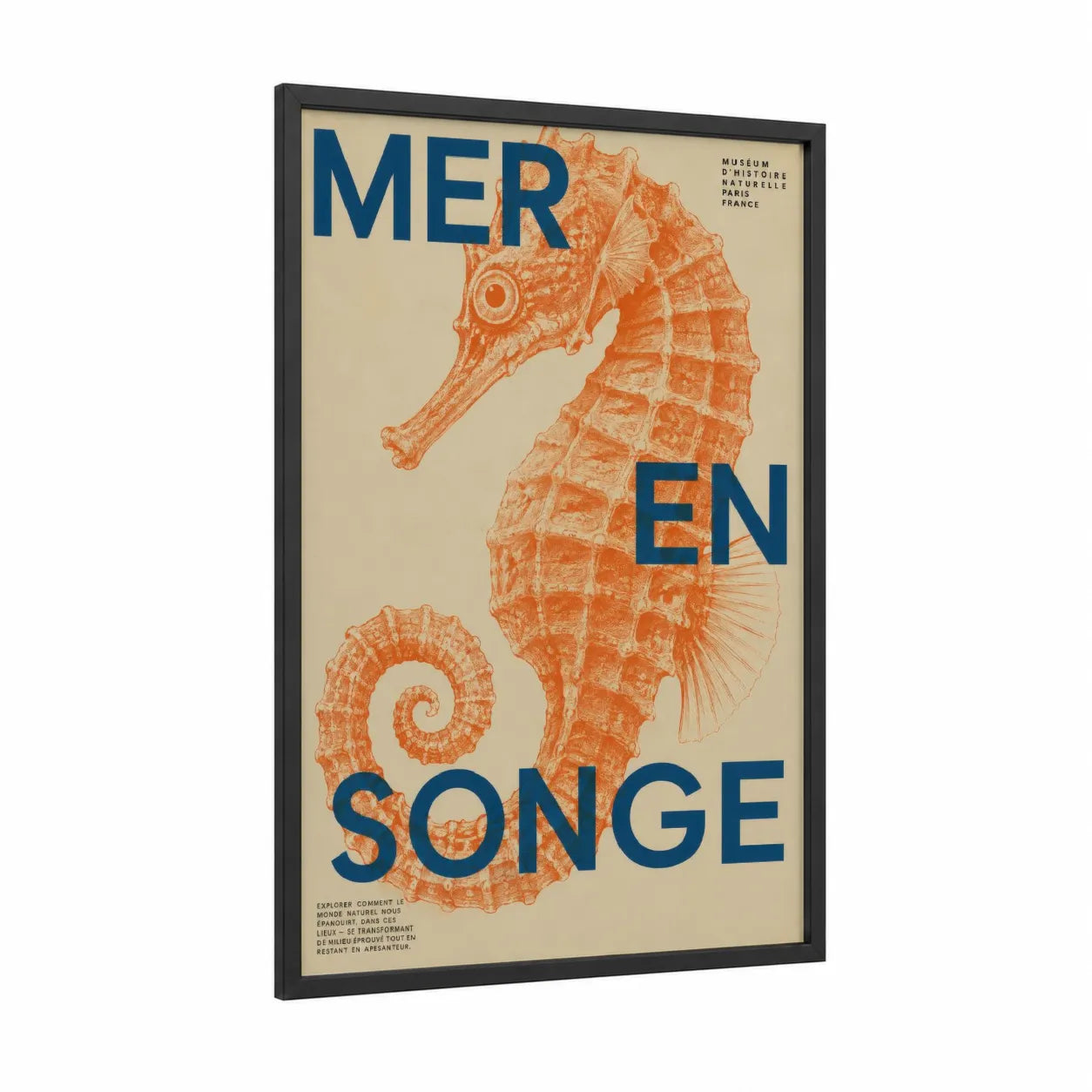Vintage Seahorse Museum Poster Wall Art framed sea horse print — black wood frame — orange and beige palette