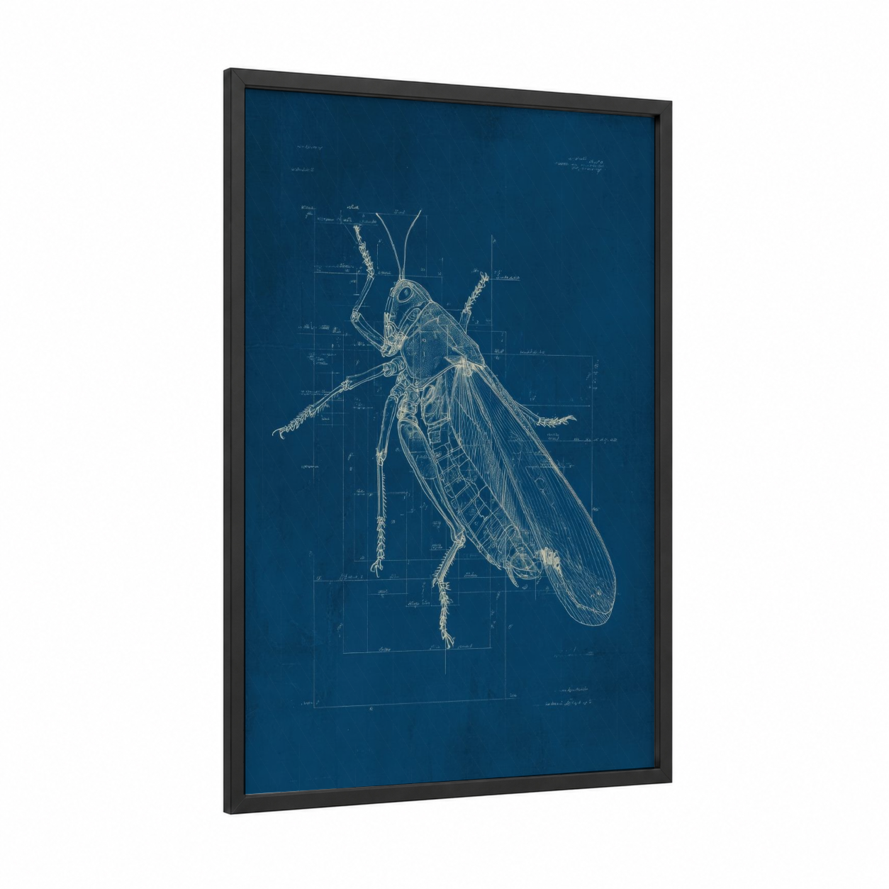 Blueprint Grasshopper framed art print — black wood frame — dark blue and cream palette