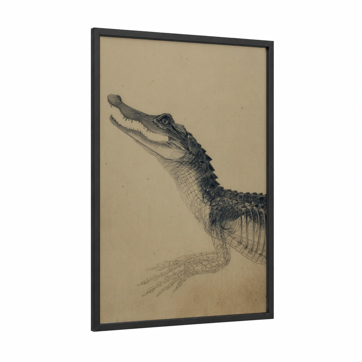 Detailed Alligator framed art print — black wood frame — black and white and beige palette