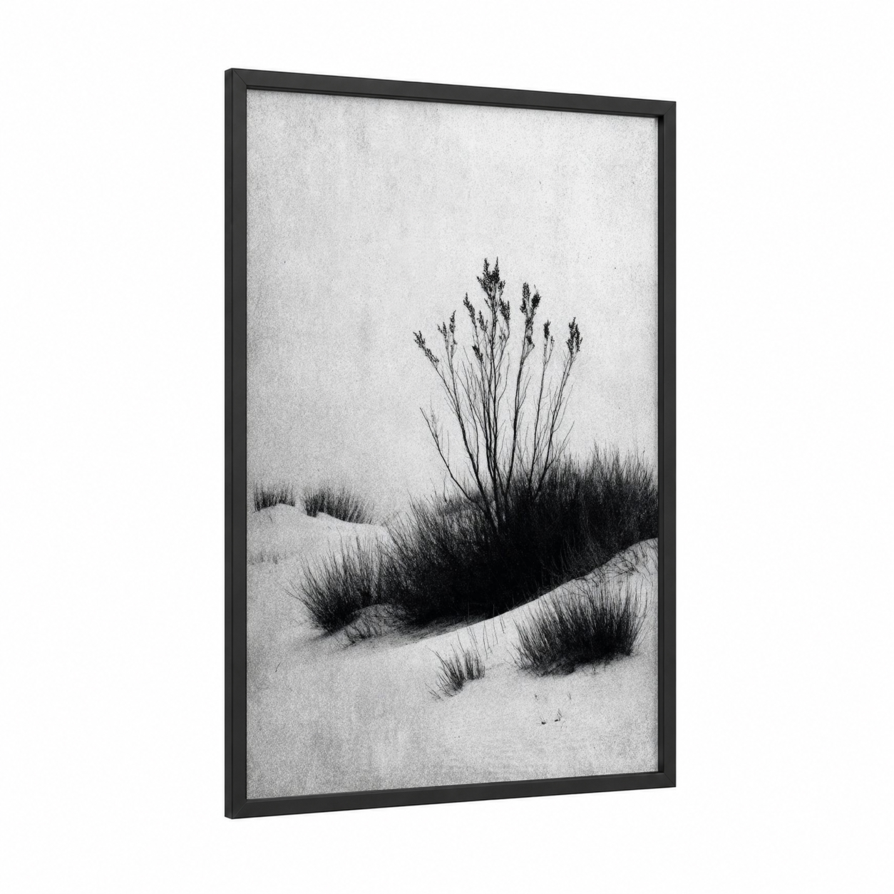 Dune Grasses framed sandy beach print — black wood frame — black and white and gray palette