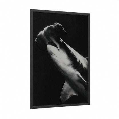Sleek Hammerhead framed hammerhead shark print — black wood frame — black and white palette