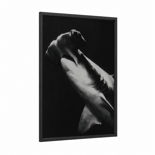 Sleek Hammerhead framed hammerhead shark print — black wood frame — black and white palette