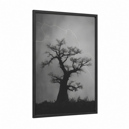 Storm Baobab framed baobab tree print — black wood frame — black and white and gray palette