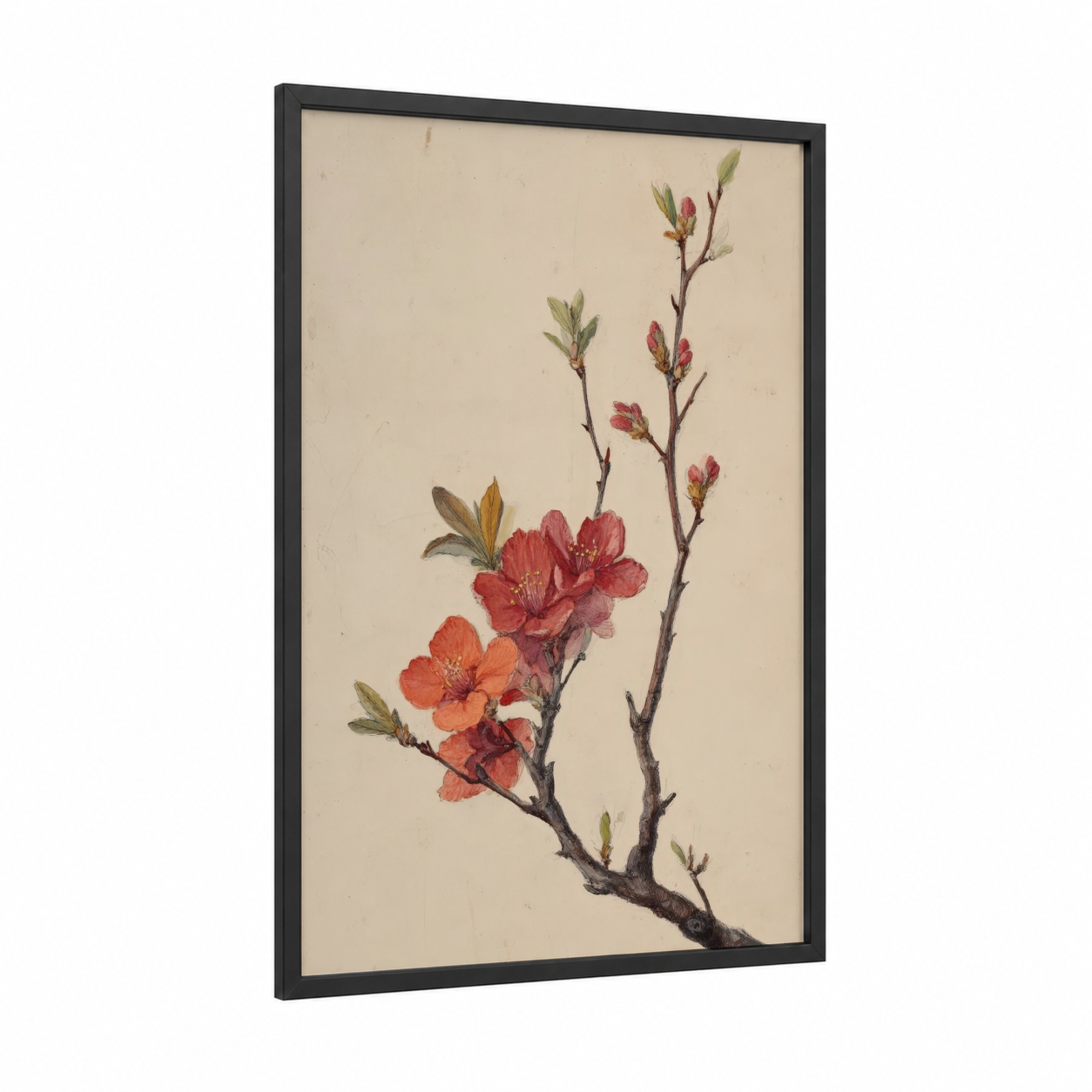 Coral Desert Bloom framed savanna and desert trees print — black wood frame — cream and salmon pink palette