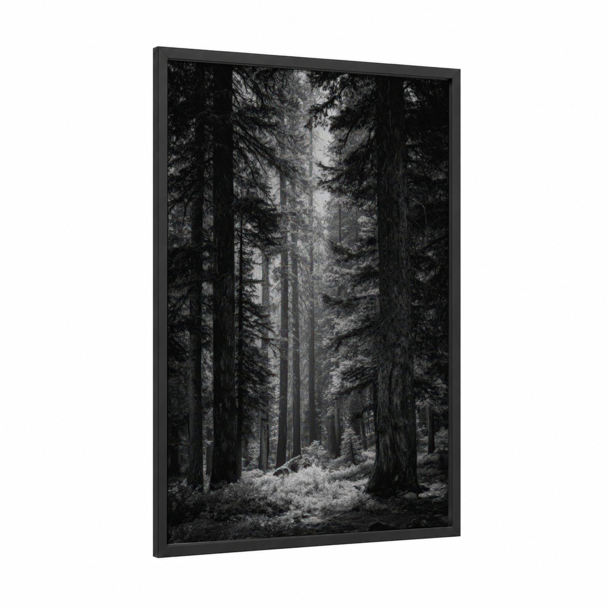 Misty Forest Cathedral framed forest trees print — black wood frame — black and white and gray palette