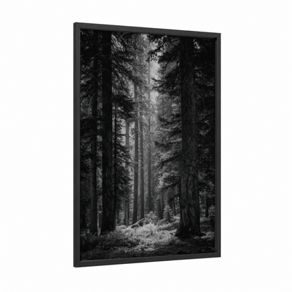 Misty Forest Cathedral framed forest trees print — black wood frame — black and white and gray palette