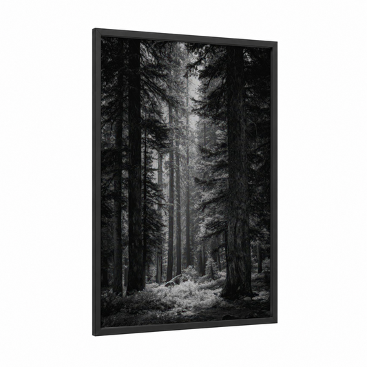 Misty Forest Cathedral framed forest trees print — black wood frame — black and white and gray palette