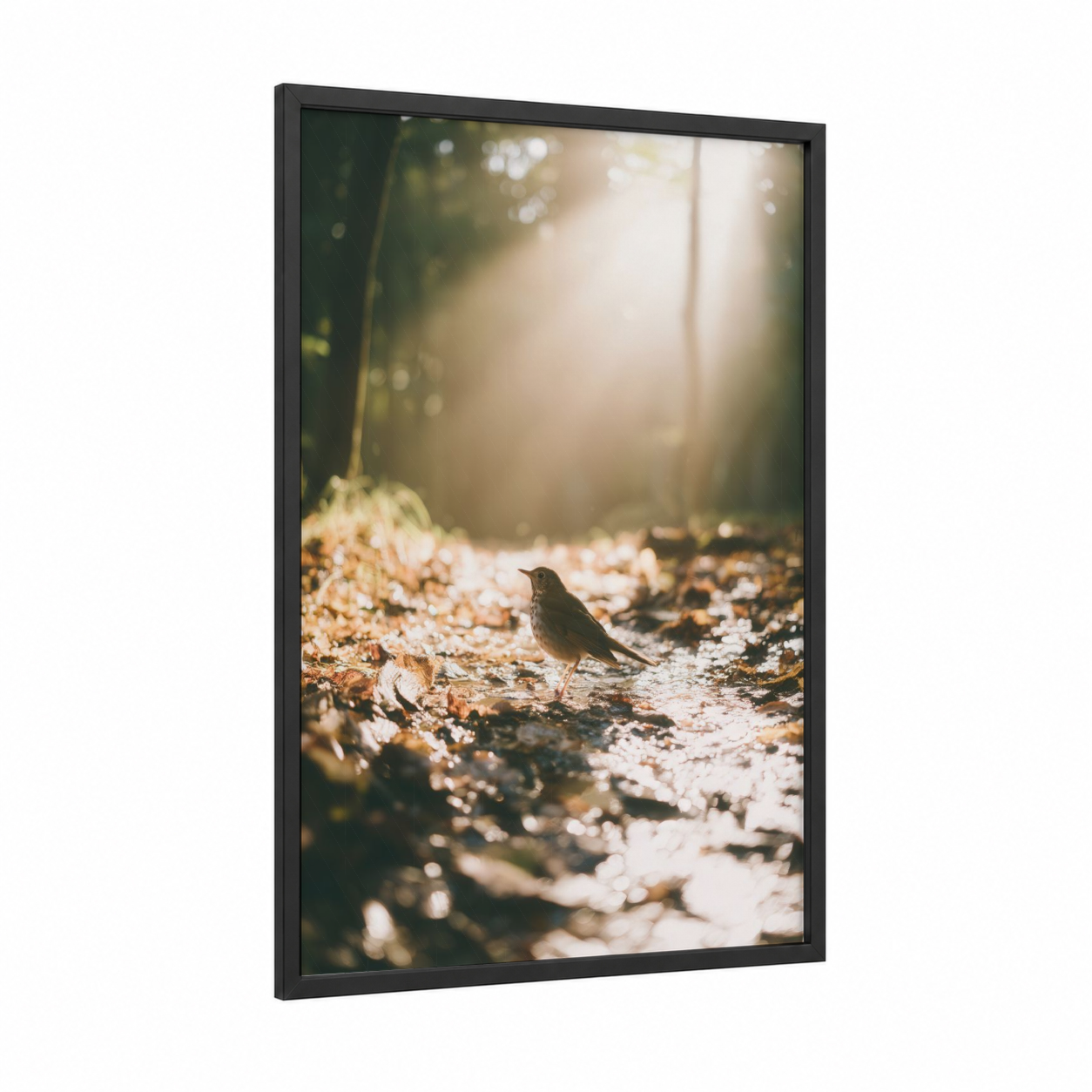 Forest Thrush framed art print — black wood frame — gold and dark green palette