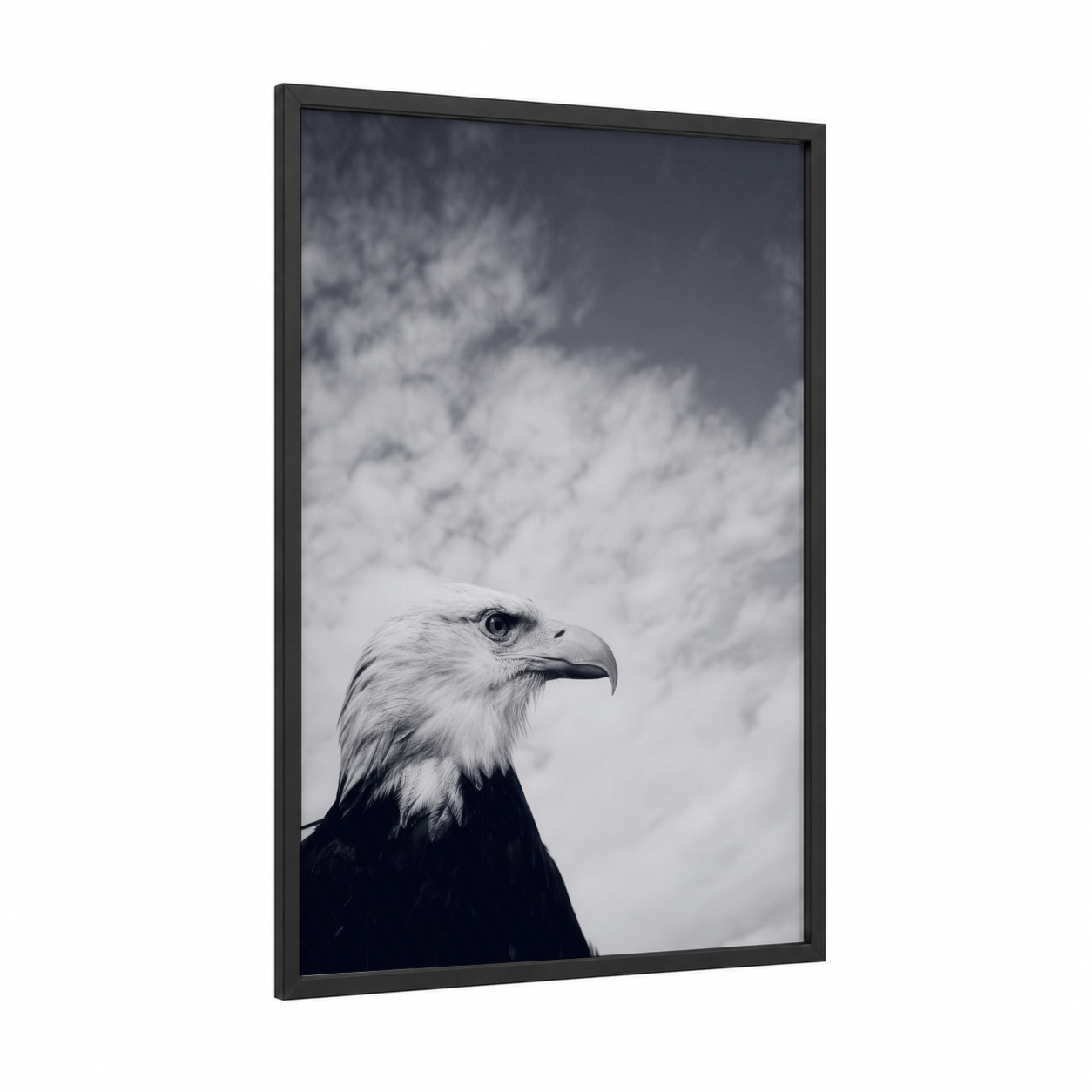 Skyward Eagle framed art print — black wood frame — black and white and gray palette