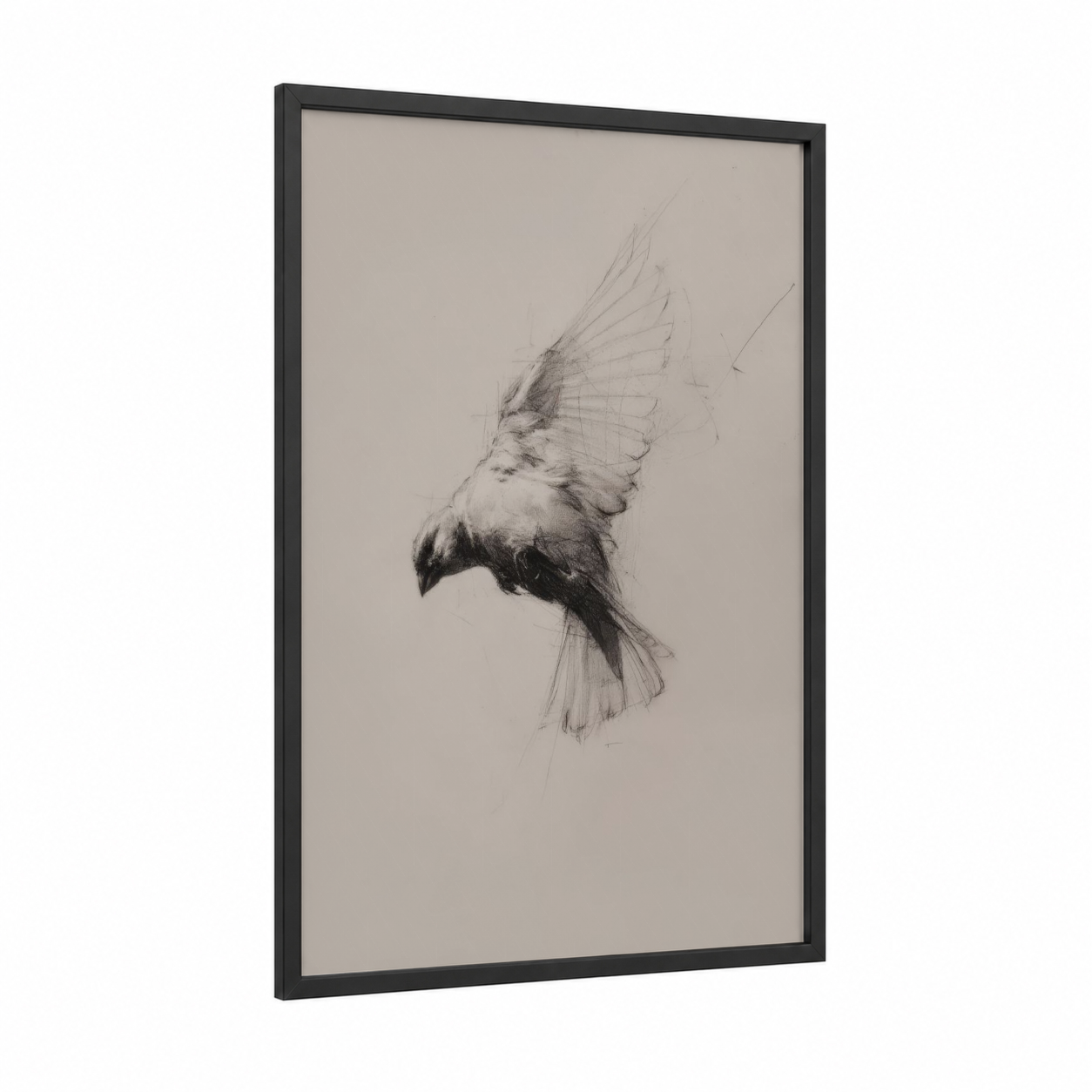 Soaring Canary framed canaries print — black wood frame — black and white palette