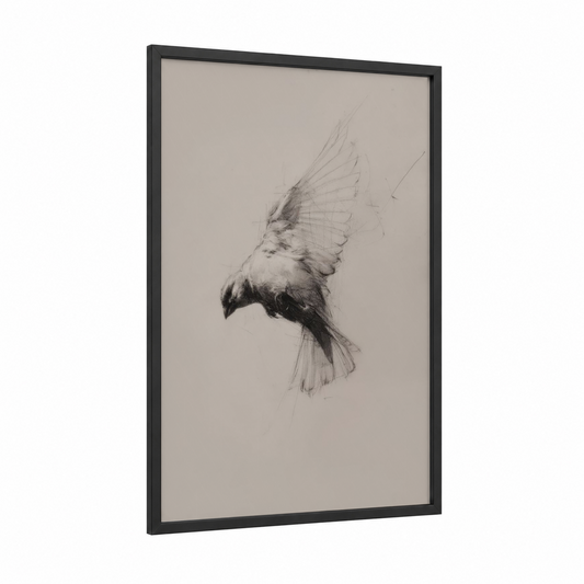 Soaring Canary framed canaries print — black wood frame — black and white palette