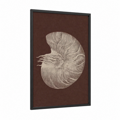 Chambered Nautilus framed seashell print — black wood frame — brown and cream palette