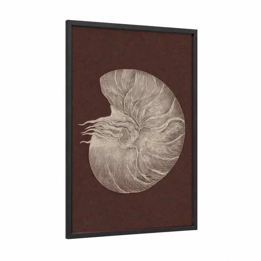 Chambered Nautilus framed seashell print — black wood frame — brown and cream palette