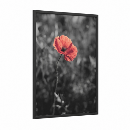 Crimson Poppy Focus framed abstract flower print — black wood frame — red and gray and white palette
