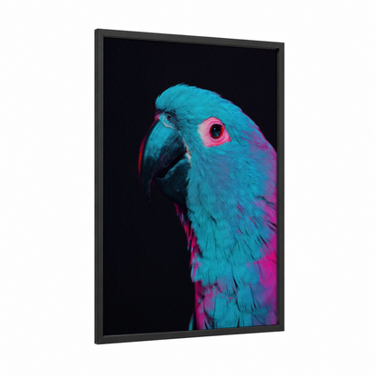 Neon Parrot framed safari parrots print — black wood frame — blue and magenta palette