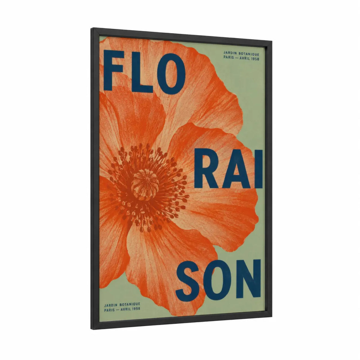 Vintage Poppy Botanical Wall Art framed poppies print — black wood frame — orange and sage green palette