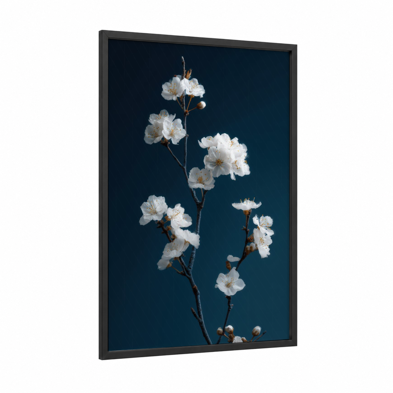 Delicate Cherry Blossoms framed art print — black wood frame — white and dark blue palette