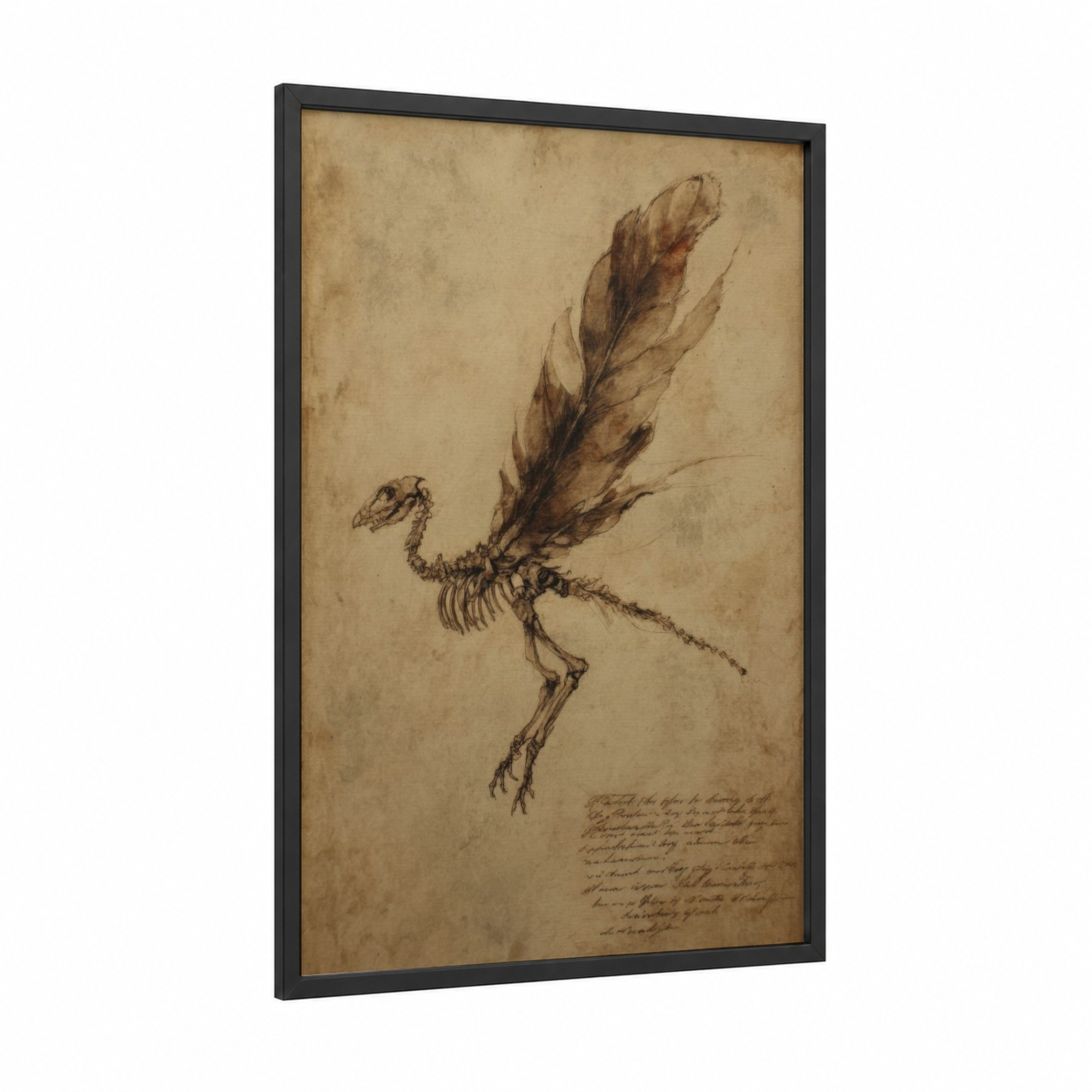 Skeletal Phoenix framed art print — black wood frame — beige and black and white palette
