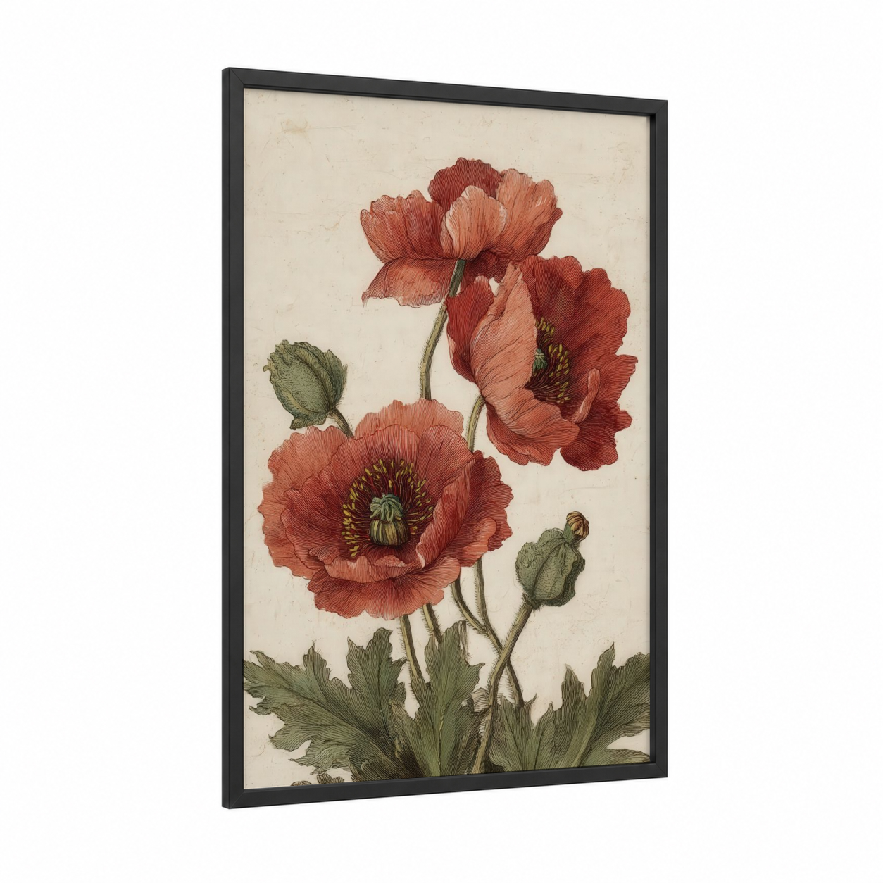 Crimson Poppies Botanical framed art print — black wood frame — russet and cream palette