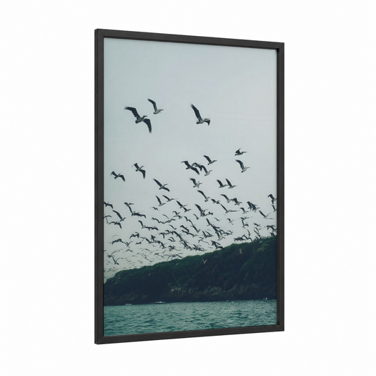 Coastal Pelican Flight framed art print — black wood frame — gray and white and teal palette